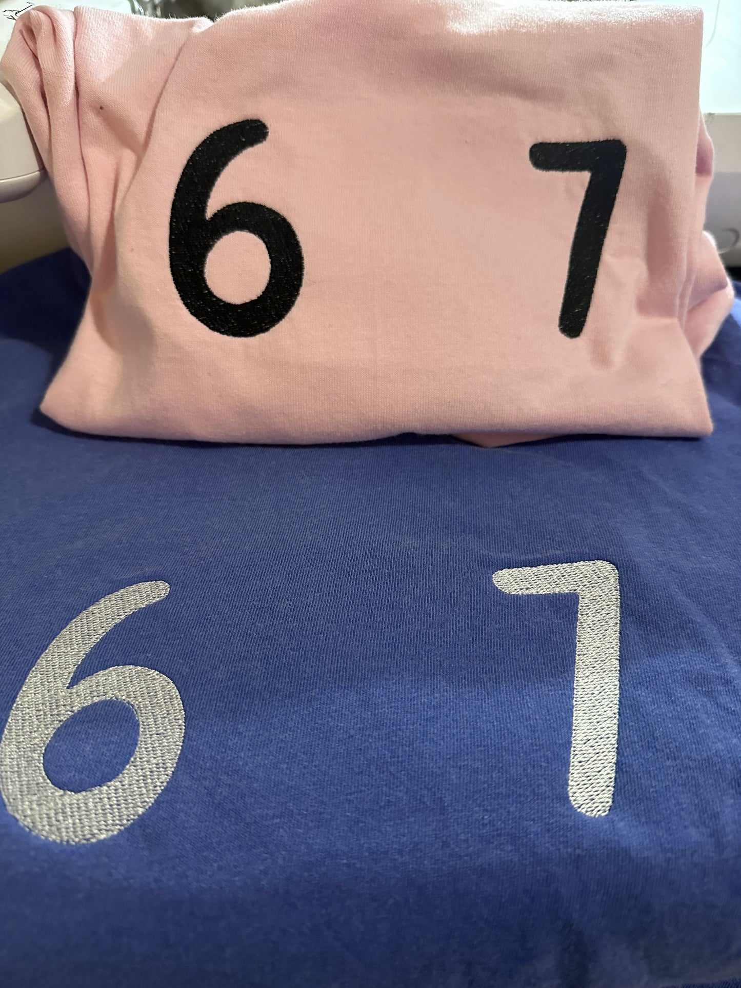 6 7 Embroidered Sweatshirt
