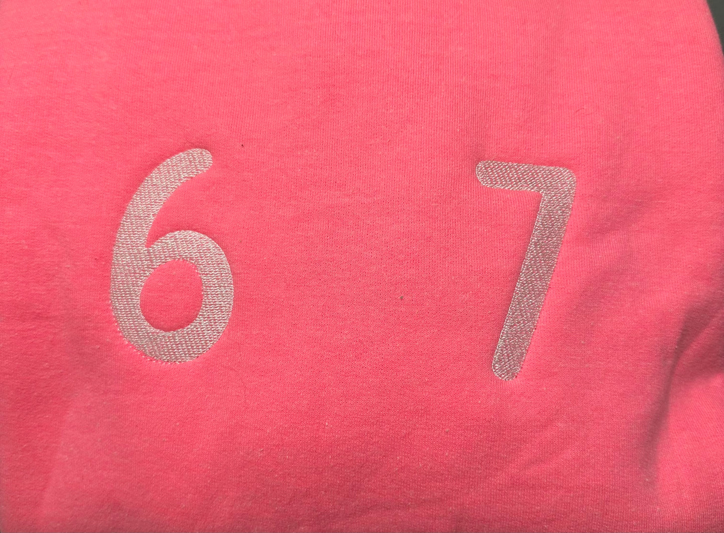 6 7 Embroidered Sweatshirt